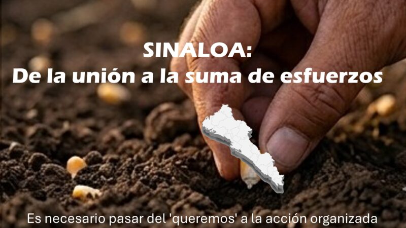 SINALOA: De la unión a la suma de esfuerzos