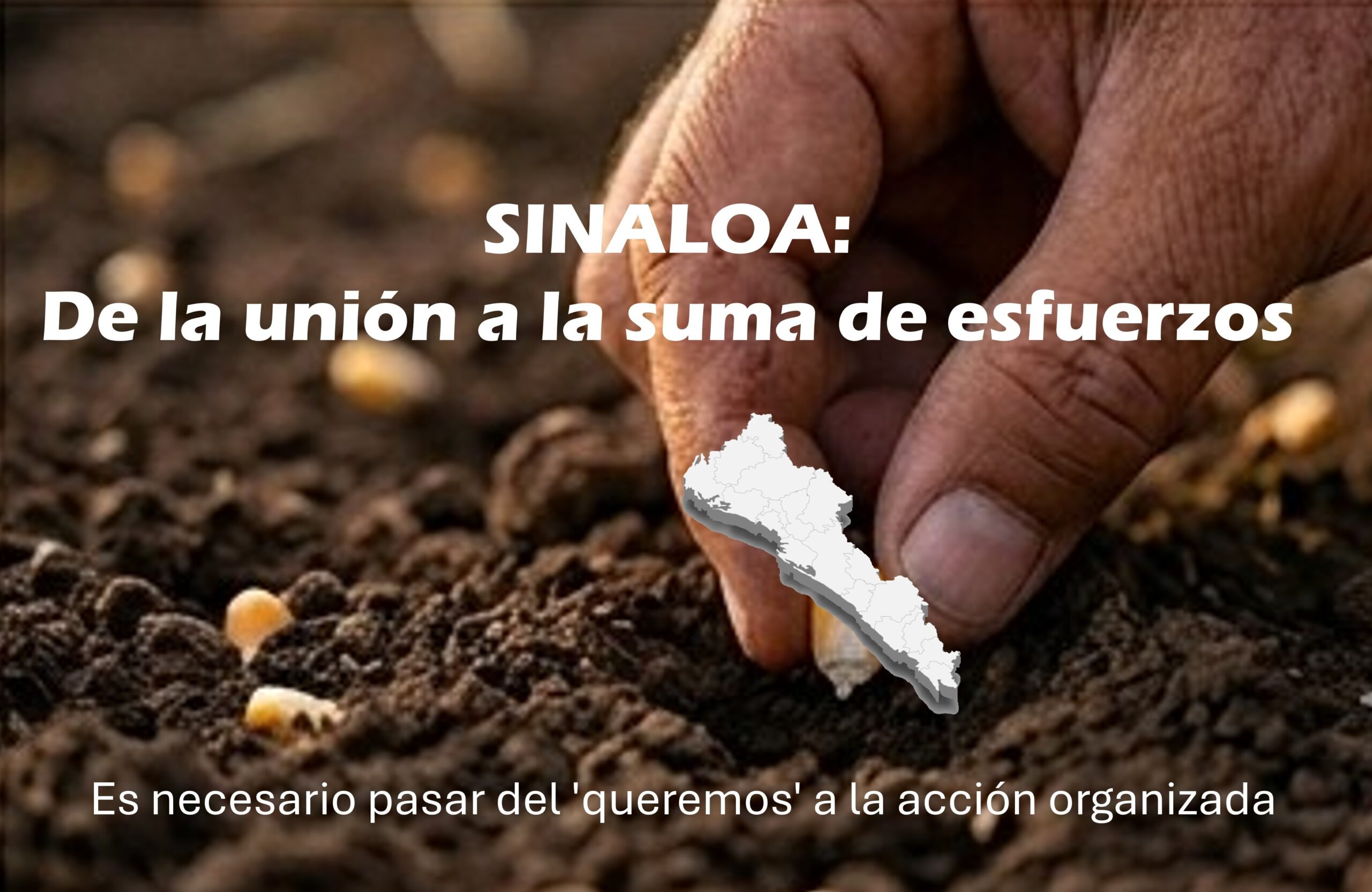 SINALOA: De la unión a la suma de esfuerzos