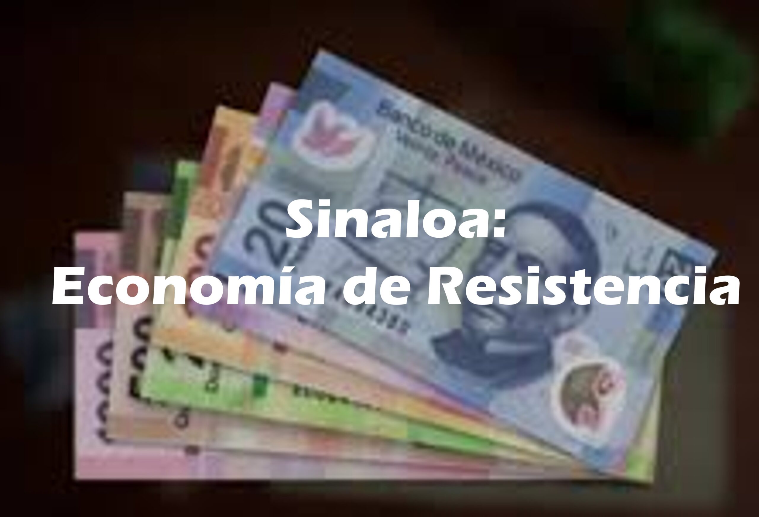 Sinaloa: Economía de Resistencia