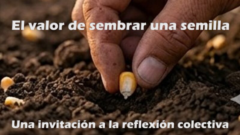 El valor de sembrar una semilla