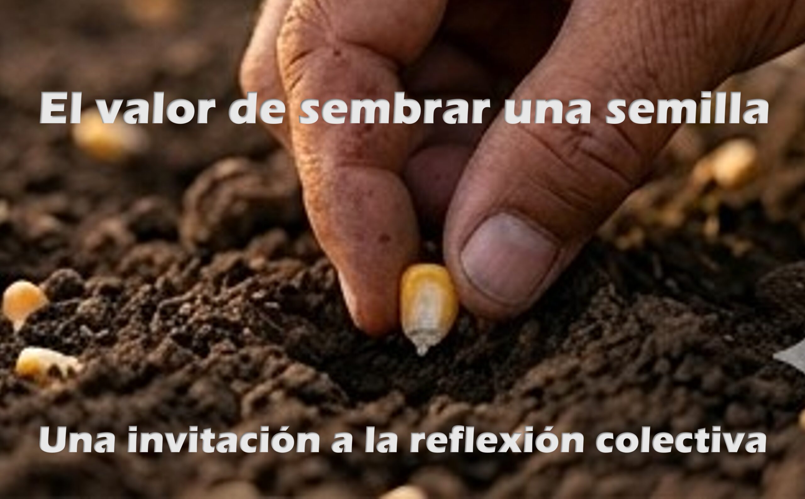 El valor de sembrar una semilla